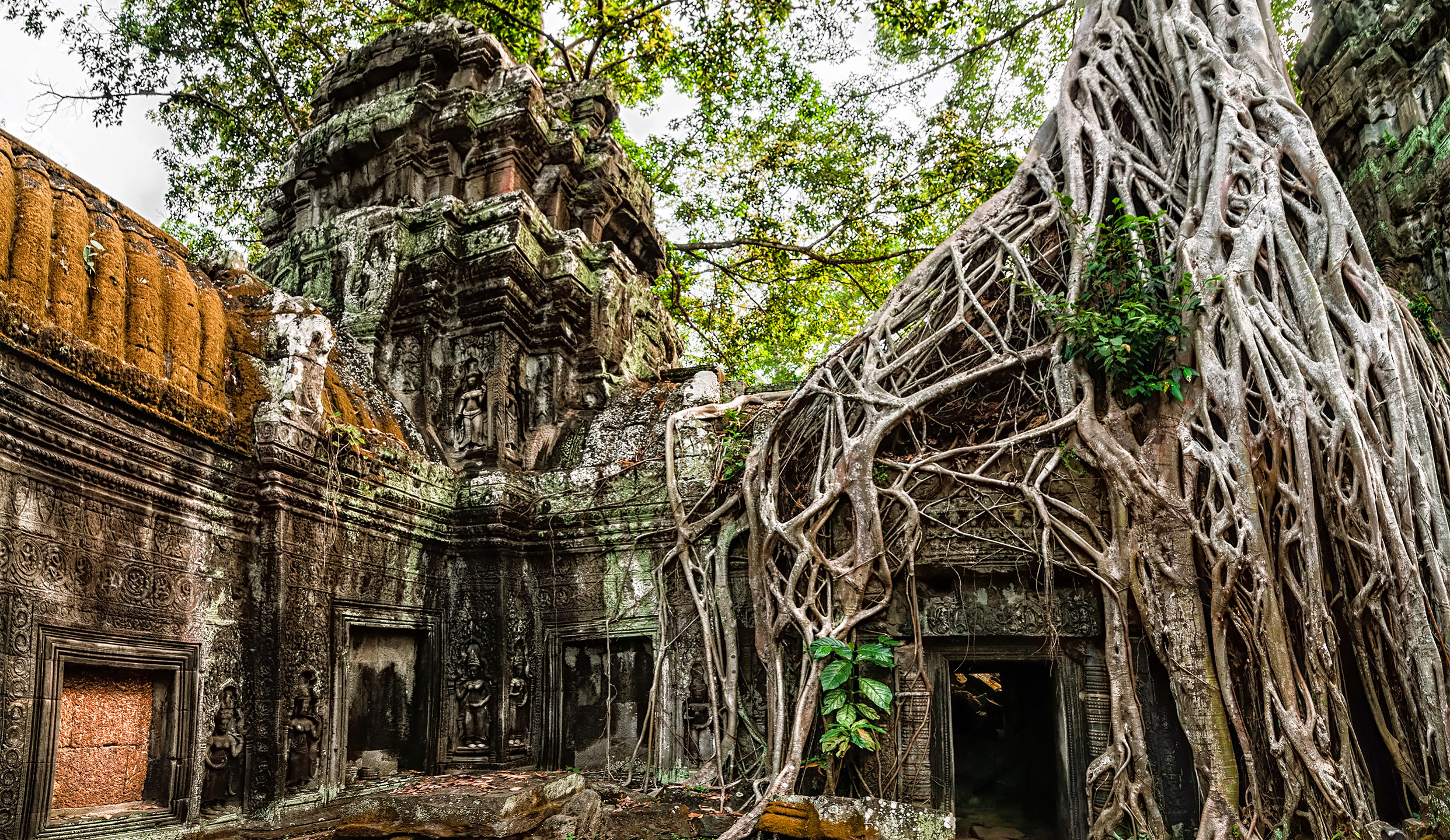 Ta Prohm temple with giant banyan tree at Angkor Wat complex Sie -