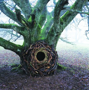 Andy Goldsworthy -Tree